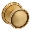 Satin Brass and Brown-060