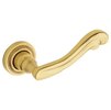 Satin Brass and Brown-060