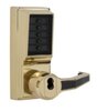 Bright Brass-605