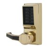 Bright Brass-605