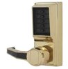 Bright Brass-605