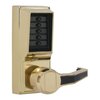 Bright Brass-605