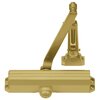 Gold Painted-696