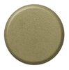 Gold Painted-696