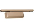 Light Bronze