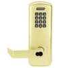 Bright Brass-605
