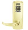 Bright Brass-605
