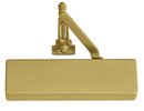 Gold Painted-696