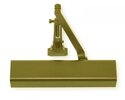 Gold Painted-696