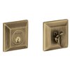 Satin Brass and Black-050