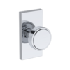 Polished Chrome-260