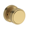 Satin Brass Lifetime Finish-044