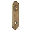 Satin Brass and Black-050