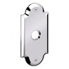 Polished Chrome-260