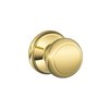 Lifetime Bright Brass-505