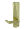 Polished Brass-US3