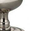 Polished Stainless Steel-US32