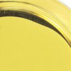 Polished Brass-US3