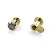 Lifetime Polished Brass-PVD